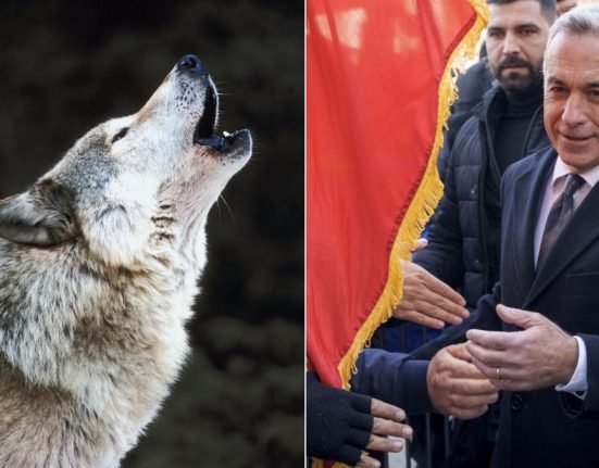 Calin Georgescu a povestit la TV despre lupoaica din vremea dacilor Ba tu esti prost