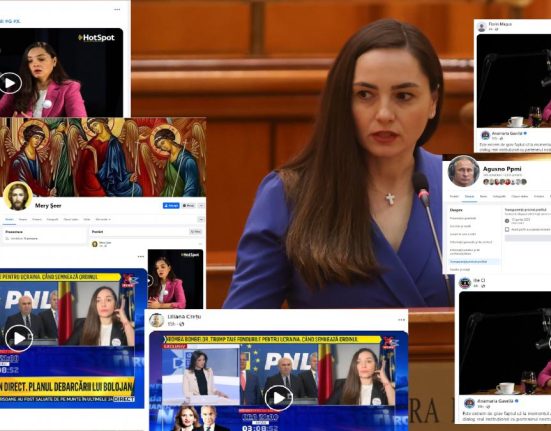 Am gasit boti la POT Cum functioneaza armata de conturi false care distribuie continutul deputatei Anamaria Gavrila