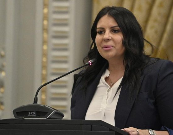 Crin Antonescu garantia unui climat economic stabil sustine Gabriela Horga