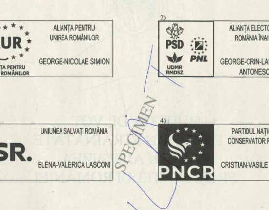 Cum arata buletinul de vot la prezidentiale