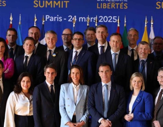 Liderii liberaldemocrati europeni reuniti pentru democratie si Ucraina