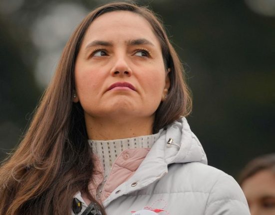 Surse BEC a aprobat candidatura sefei POT Anamaria Gavrila la prezidentiale