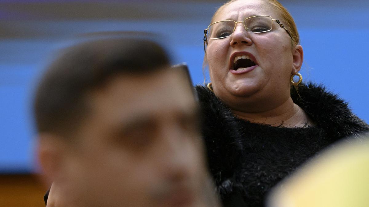 Lege anti Sosoaca Persoane agresive interzise in Parlament