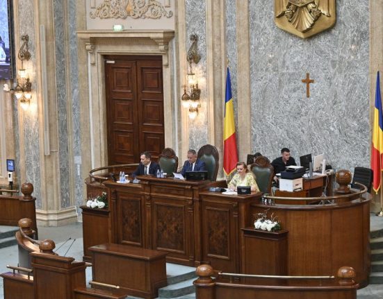 Senatul a aprobat proiectul USR pentru camere video in centrele de plasament