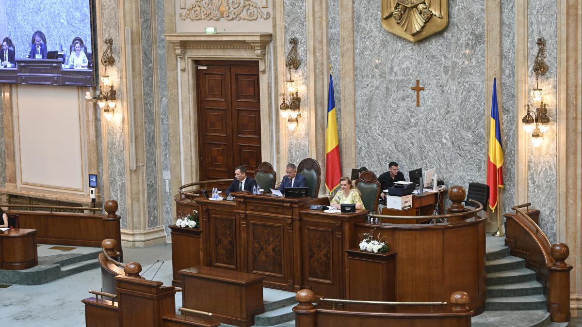 USR se lauda ca a votat motiunea alaturi de AUR SOS POT