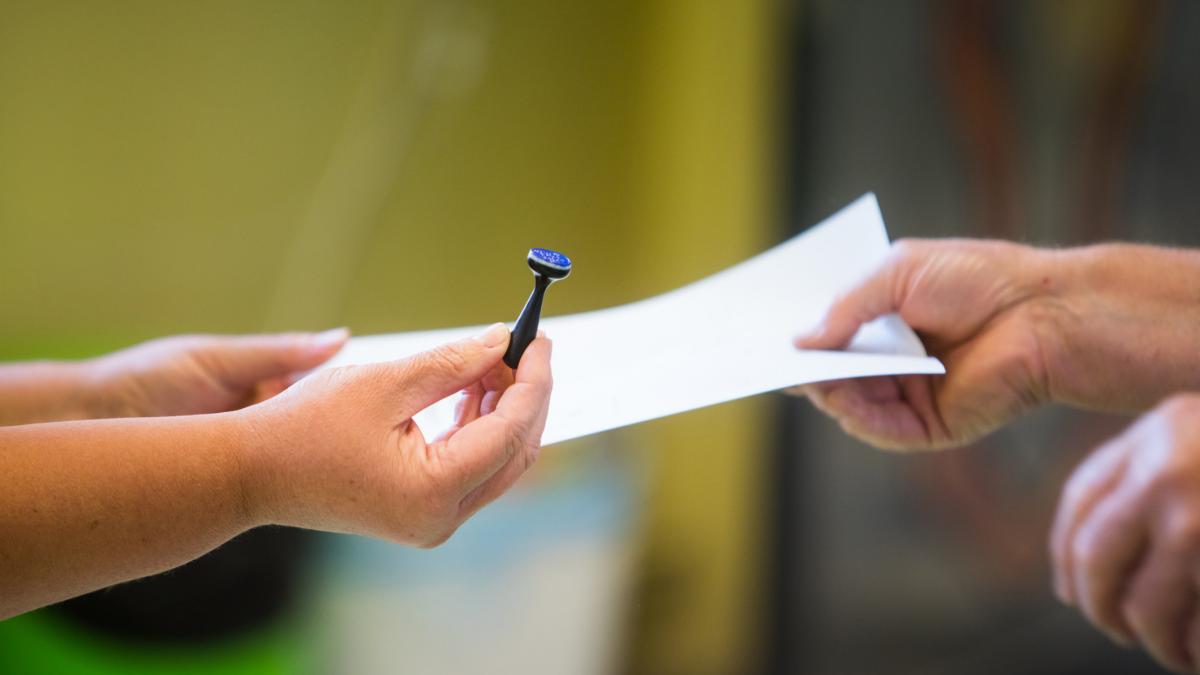 Cum se voteaza corect in turul doi al alegerilor 2025