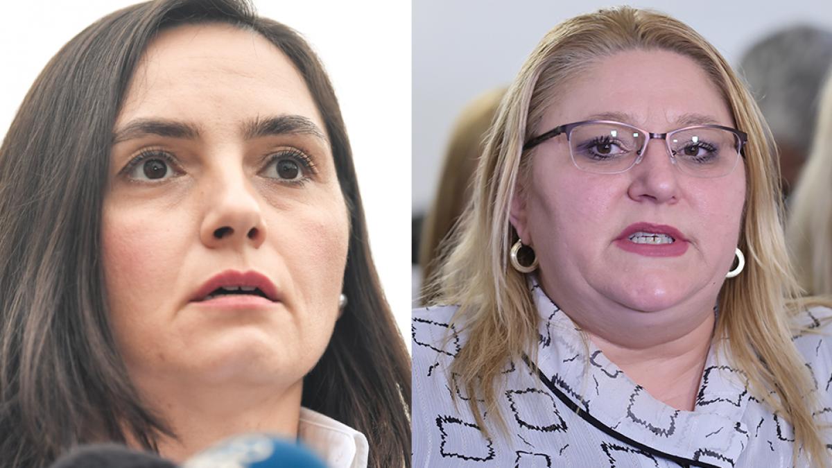 Cearta intre suveranisti Anamaria Gavrila acuza SOS