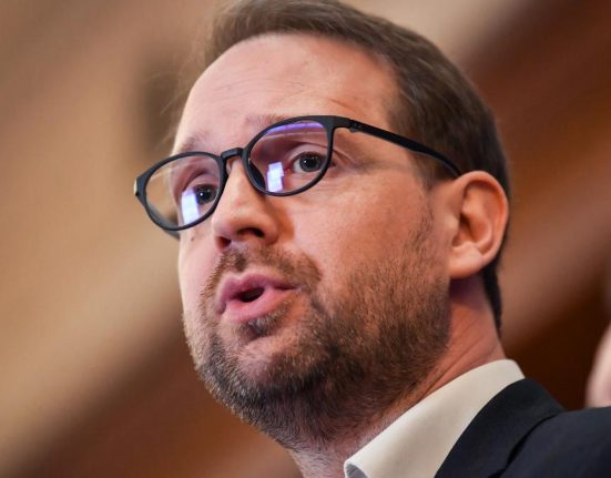 Dominic Fritz Am cerut cetatenia romana anul trecut