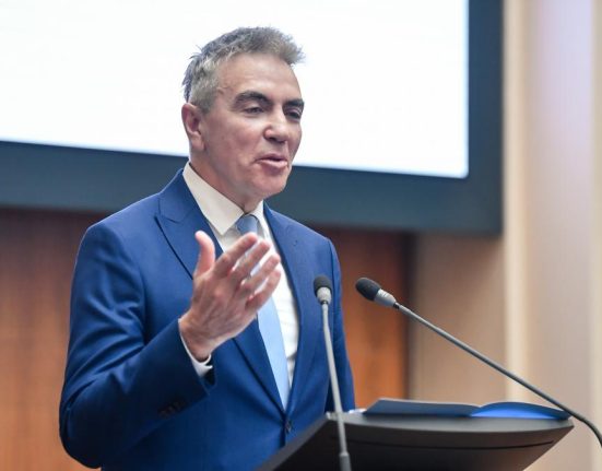 Postul de vicepremier pentru reforma Stilul din business