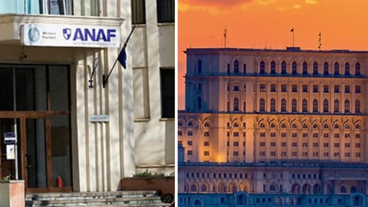 Sefa ANAF audiata in Parlament pe tema evaziunii fiscale