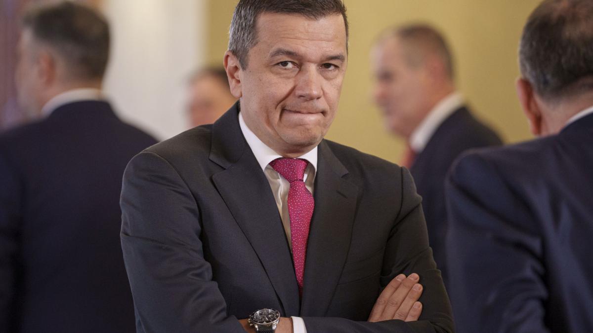 Stenograme Discutiile liderilor PSD cu Nicusor Dan