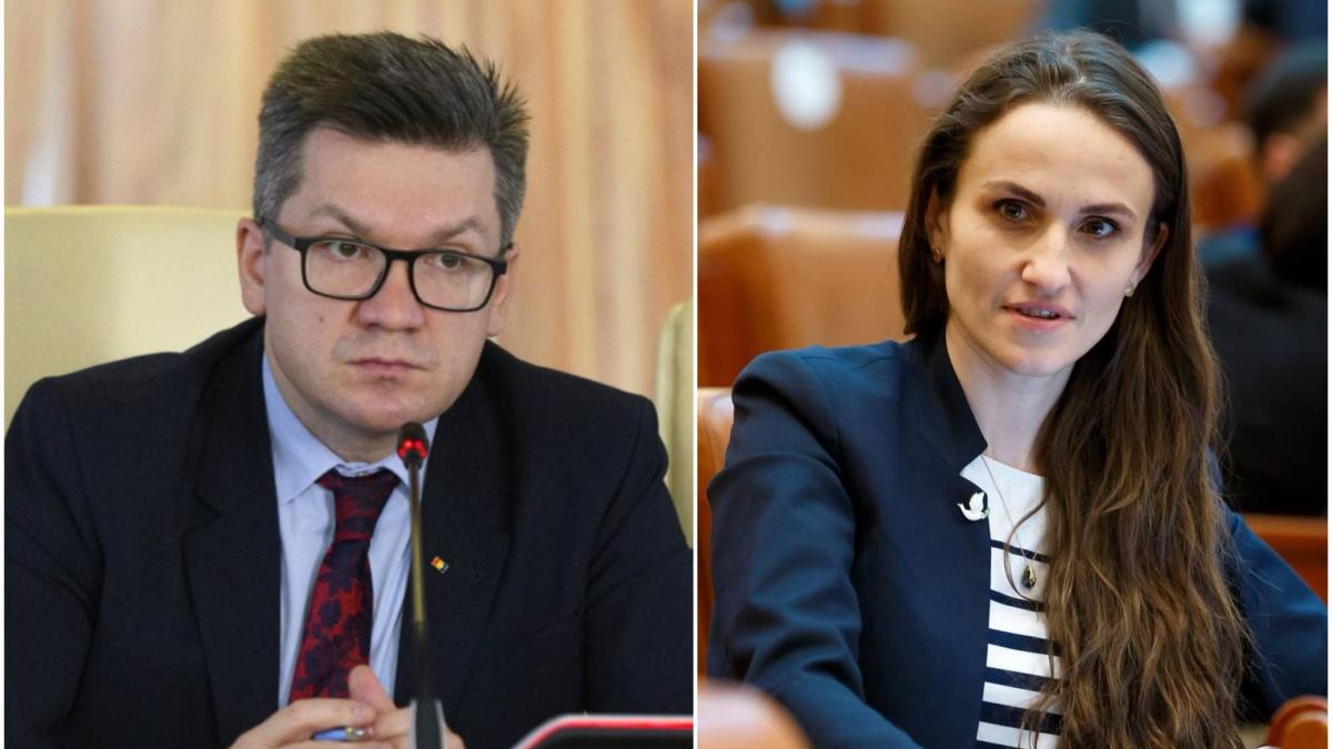 derapaj inacceptabil mihail neamtu ataca pe oana toiu cu o fotografie trucata