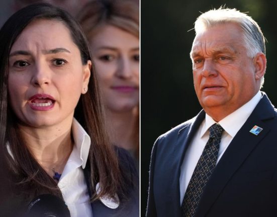 Anamaria Gavrila mesaj pentru Viktor Orban pe Facebook