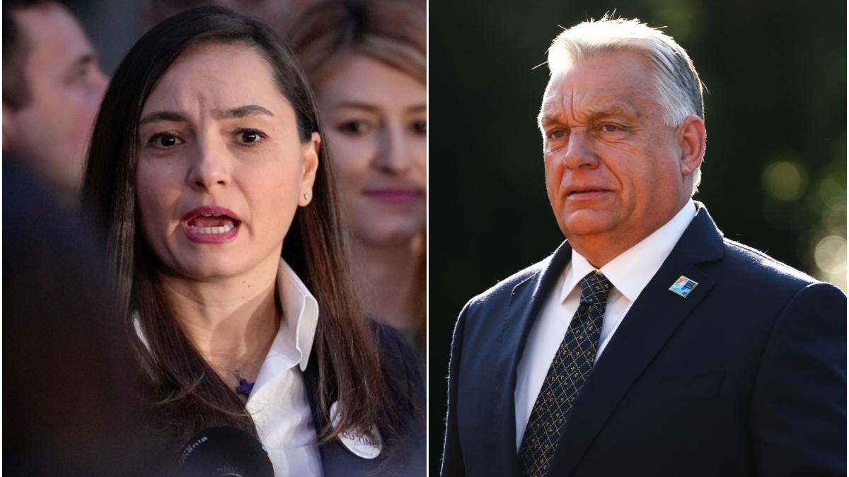 Anamaria Gavrila mesaj pentru Viktor Orban pe Facebook
