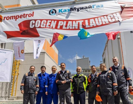 Centrala de cogenerare a rafinariei Petromidia a fost deschisa