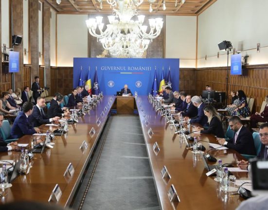 Consultantii privati asteptati de Guvern Reforma incepe cu ministri