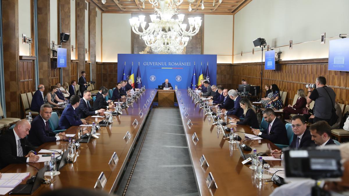 Consultantii privati asteptati de Guvern Reforma incepe cu ministri