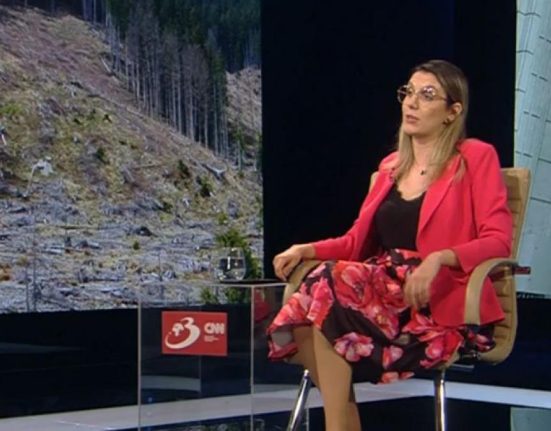 Diana Buzoianu 99 de directori Romsilva au primit 22 milioane lei lunar