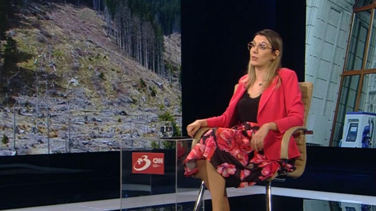Diana Buzoianu 99 de directori Romsilva au primit 22 milioane lei lunar
