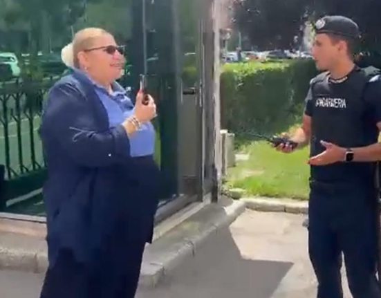 Diana Sosoaica s a certat cu jandarmii la Guvern