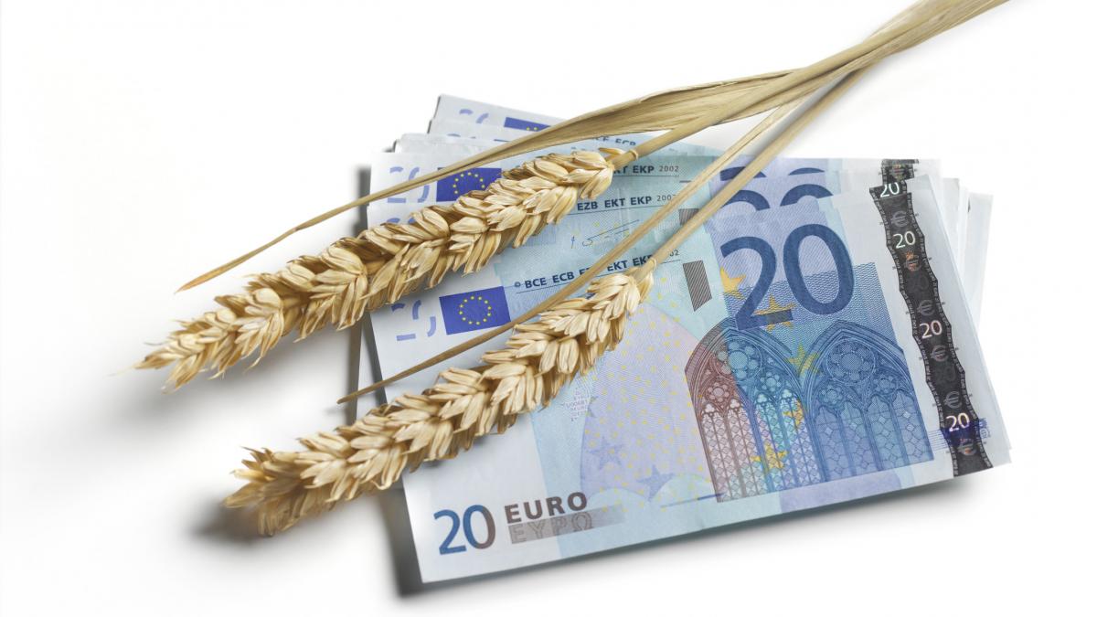 Florin Barbu vrea exceptarea sporurilor agricole din austeritate