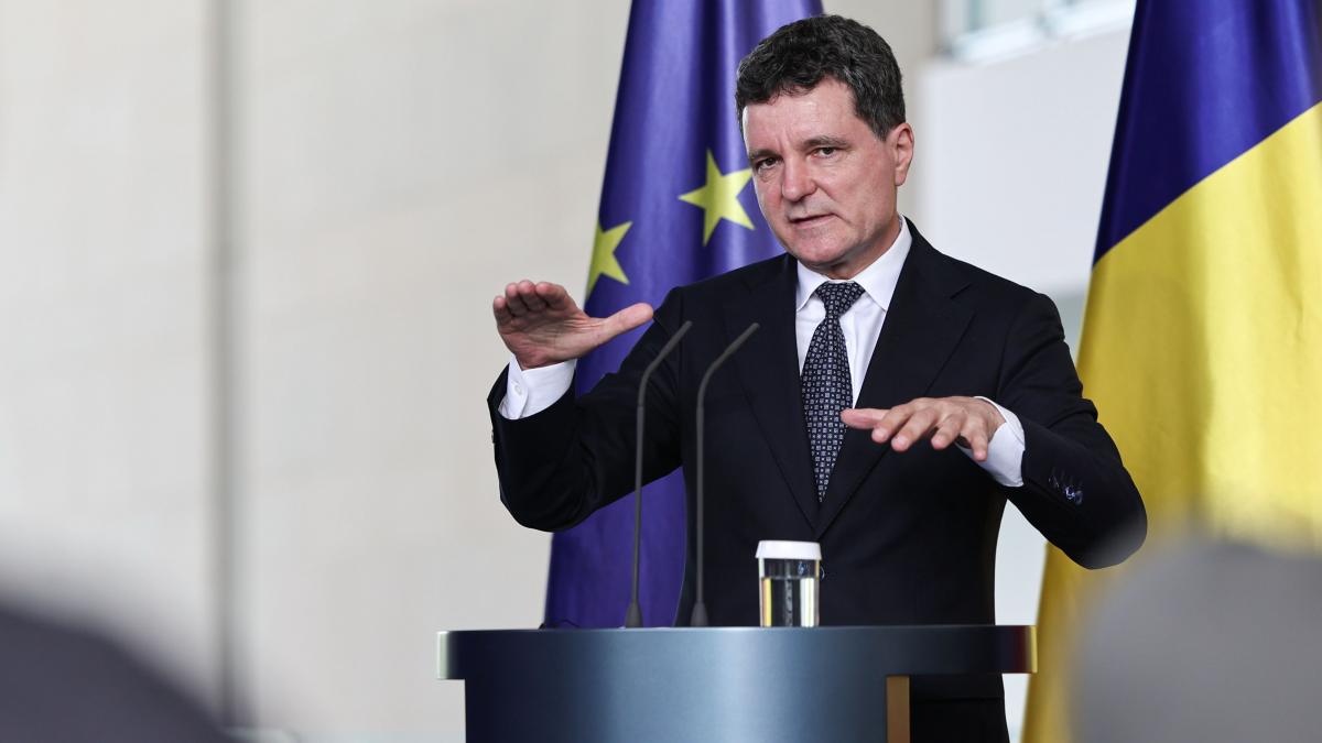 Nicuor Dan in faa afaceristilor din Austria Romania va avea un sistem fiscal previzibil