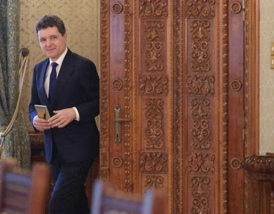 Nicusor Dan va numi un director SRI curand