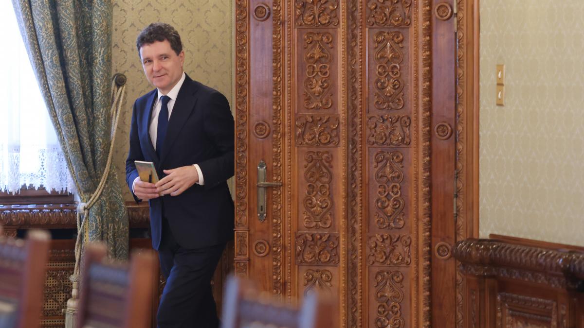 Nicusor Dan va numi un director SRI curand