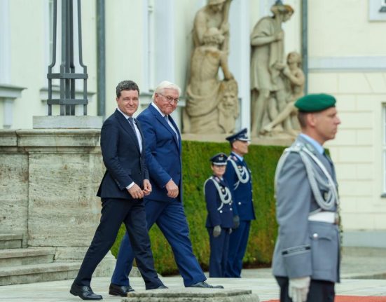 Presedintele Nicusor Dan intalnire cu cancelarul Merz