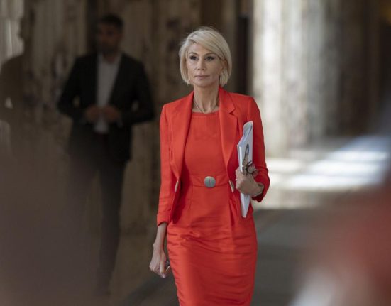 Replica PNL la ultimatumul PSD pentru premier Raluca Turcan PSD sa decida mergem impreuna sau alt rol