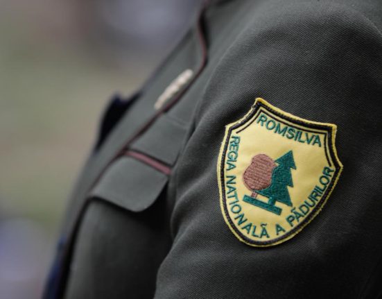 Romsilva ramane fara conducere de maine