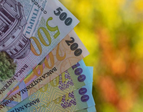 Burduja Nu am putut colabora cu directorul Antifrauda