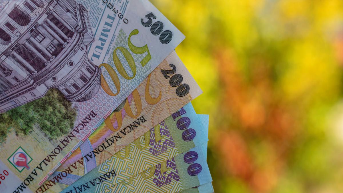 Burduja Nu am putut colabora cu directorul Antifrauda