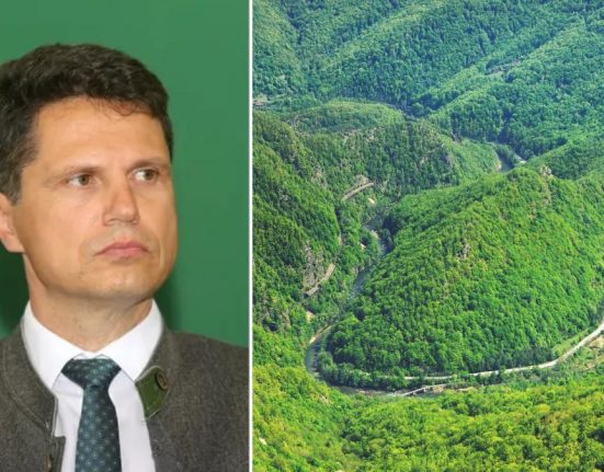 Milionarul de la Romsilva Danut Apostu strange bani de la stat