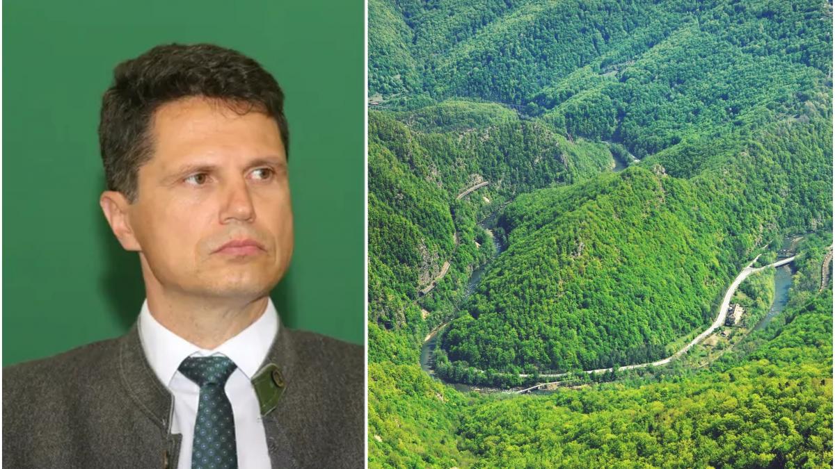 Milionarul de la Romsilva Danut Apostu strange bani de la stat