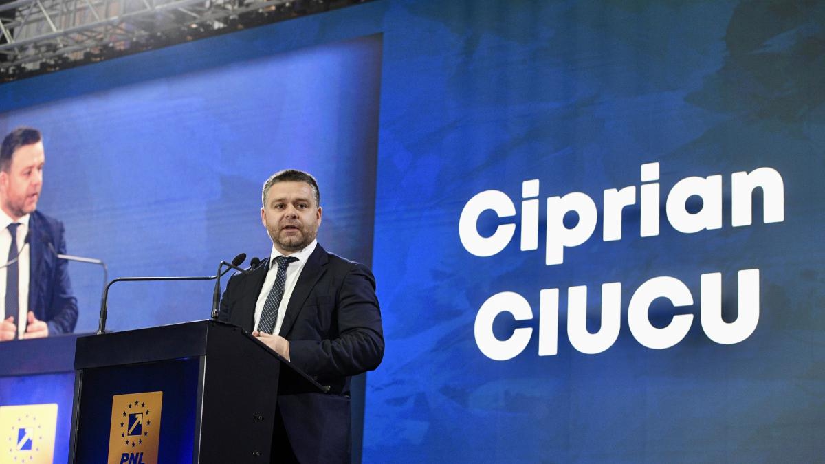 ciprian ciucu despre alegerile din capitala cu sprijin usr castig opinie despre candidatura lui drula