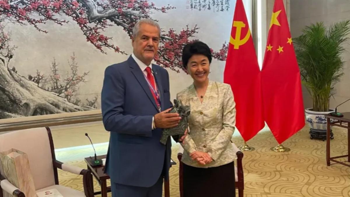 Adrian Nastase participa la parada militara din Beijing