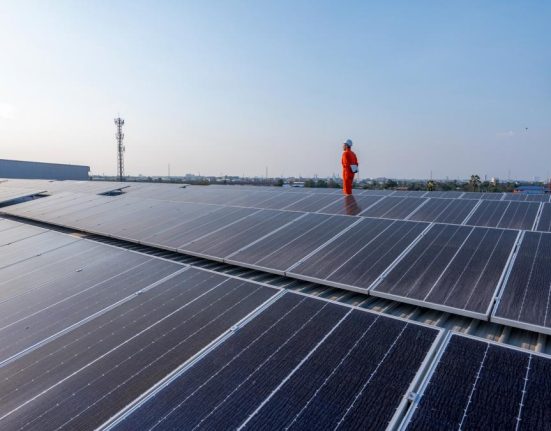 Diana Buzoianu Un parc fotovoltaic costa de 8 ori mai putin