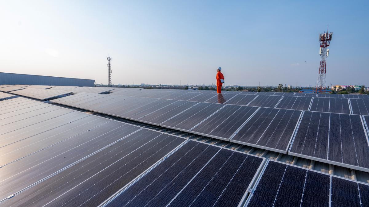 Diana Buzoianu Un parc fotovoltaic costa de 8 ori mai putin