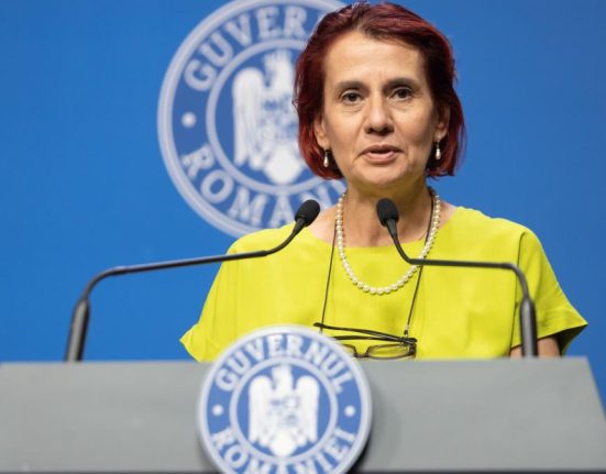 Dogioiu PSD a acceptat decizia de a nu plafona preturile alimentelor