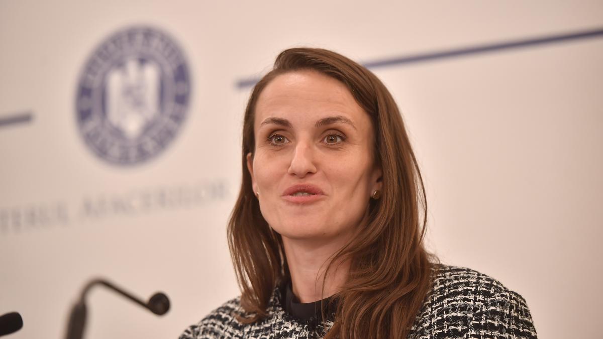 Oana Toiu anunta intalniri la Washington pentru Nicusor Dan