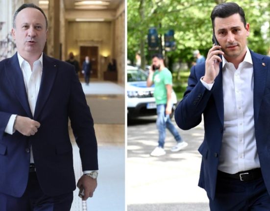 PSD afirma ca se prelungeste plafonarea preturilor la alimente