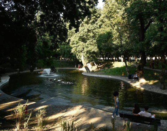 Primaria Sectorului 1 renunta la Lumina Park in Kiseleff