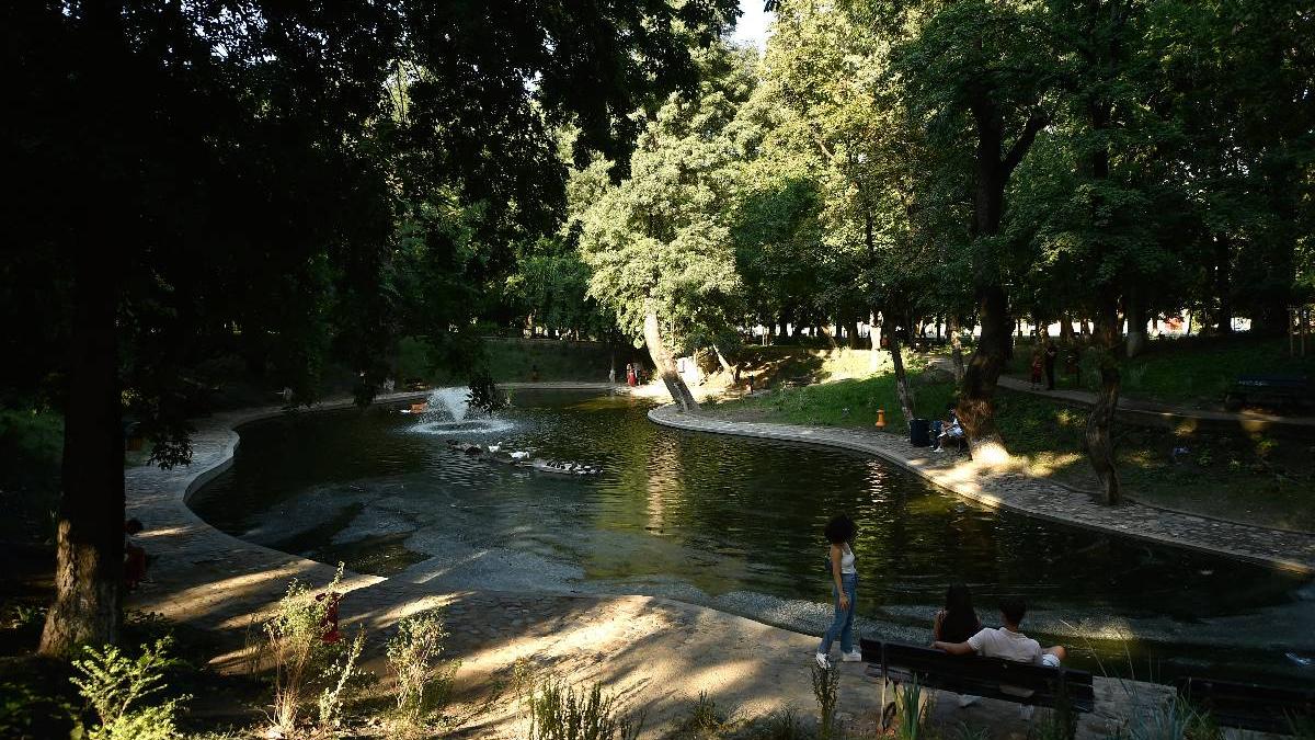 Primaria Sectorului 1 renunta la Lumina Park in Kiseleff