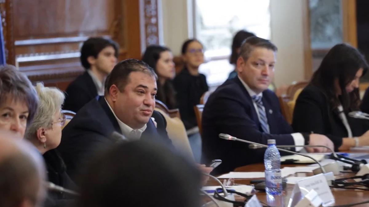 Circ in Parlament la audierea sefilor ANRE ANCOM si ASF