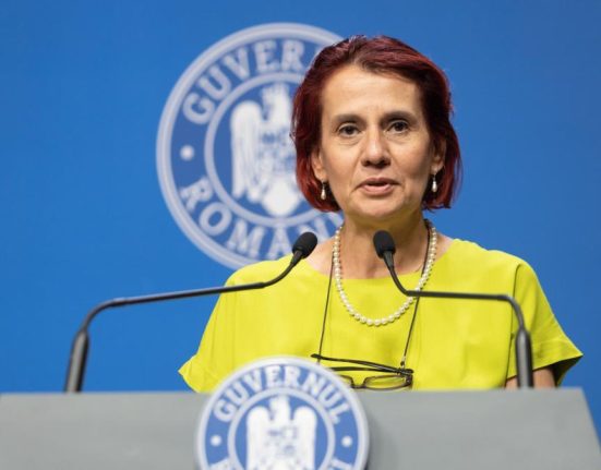 Ioana Dogioiu Guvernul asteapta motivarea CCR pentru pensiile magistratilor
