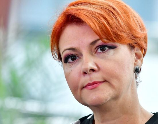 Lia Olgua Vasilescu prezinta conditiile PSD pentru reforma admin