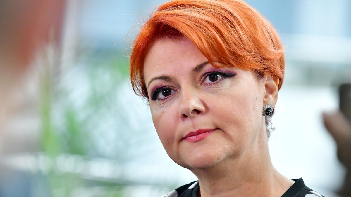 Lia Olgua Vasilescu prezinta conditiile PSD pentru reforma admin