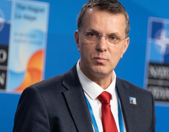 Mosteanu Flancul Estic trebuie sa fie puternic imptriva incursiunilor rusesti