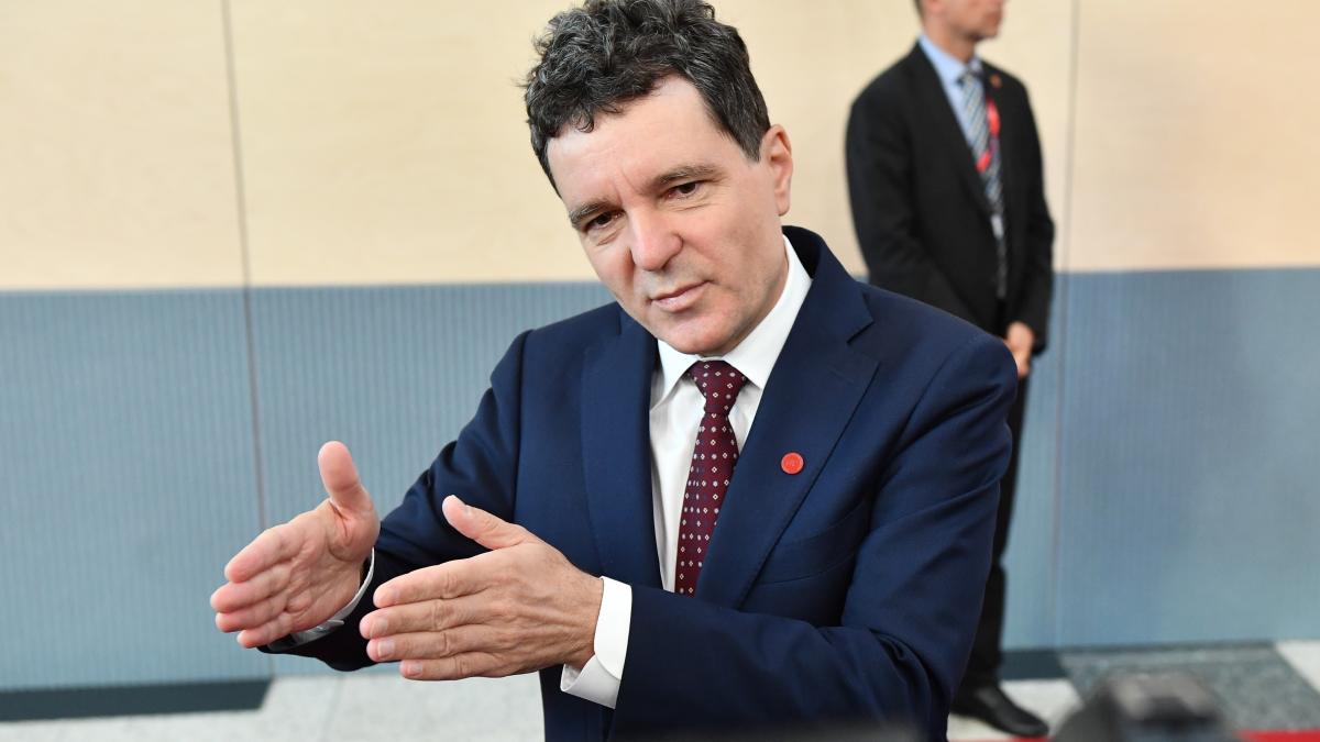 Nicisor Dan despre controversa TVA la gem Oamenii trebuie sa isi faca gem